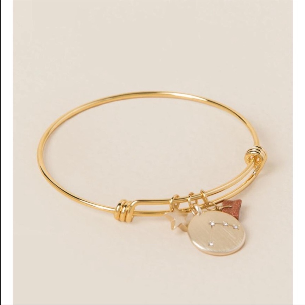 Francesca’s Collection Aries zodiac charm bracelet March 21-April 19